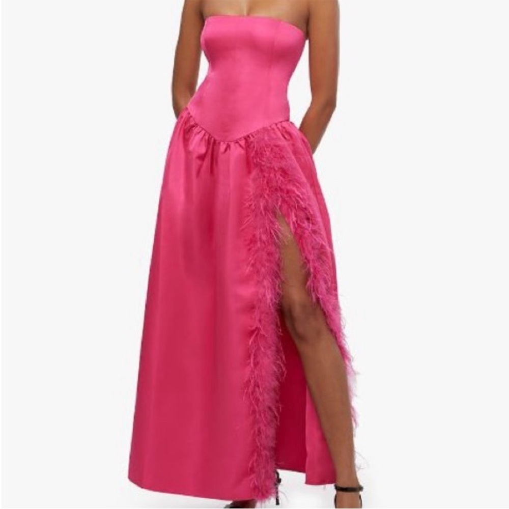 NWT WeWoreWhat Feathered Corset Gown